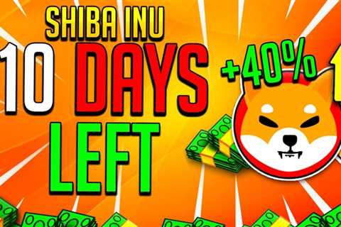 SHIBA INU COIN: 10 DAYS LEFT 🔥 SHIB TEAM REVEALS SOMETHING HUGE!