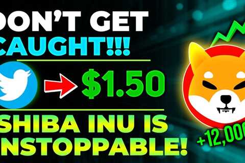 SHIBA INU CREATOR CONFIRM SHIB WILL SOON BE TOO EXPENSIVE TO OWN 1 SHIB TOKEN!! (1000% FACT!)