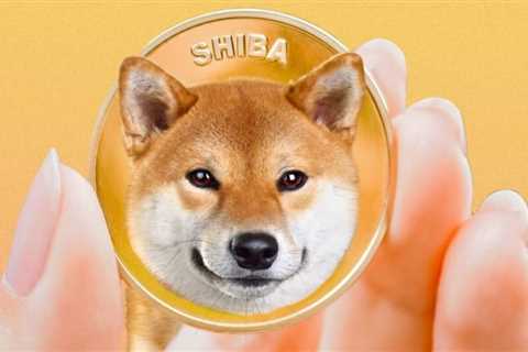 Info Sobre Shiba Inu Crypto