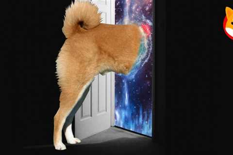 The Shiberse is Coming! Shiba Inu Announces Entrance into the Metaverse