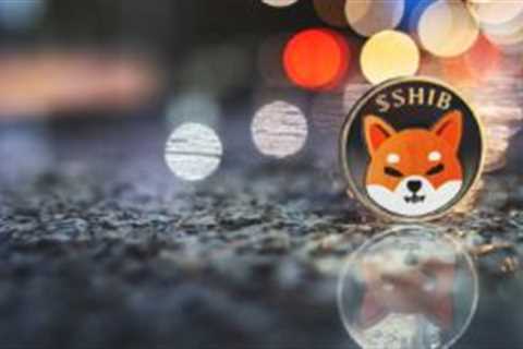 In a Bear Market, Shiba Inu Is Not Where You Want to Be