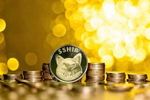 Shiba Inu coin price sky rockets to all-time high despite crypto crash