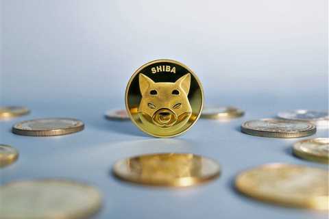 What is Shiba Inu coin? ‘Dogecoin killer’ outperforms crypto rivals with 750,000% price gains