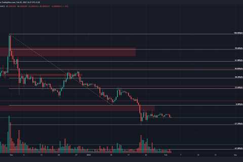 As Shiba Inu hovers above a support level, here is why this is likely - Shiba Inu Market News