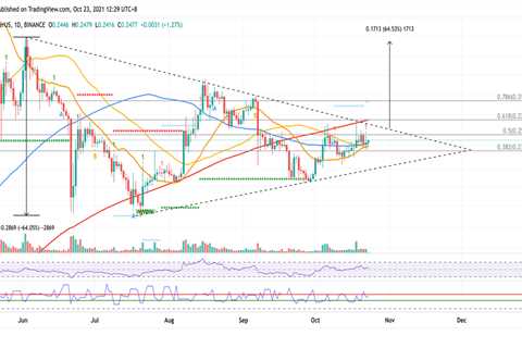 DOGE poised for 64% breakout if this key level breaks