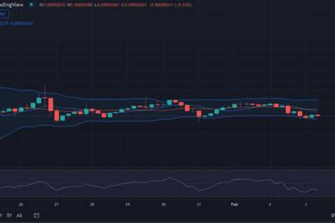 Shiba Inu price analysis: SHIB crashes to $0.00002061 - Shiba Inu Market News