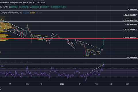 Shiba Inu, Binance Coin, VeChain Price Analysis: 08 February - Shiba Inu Market News