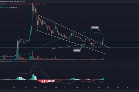 Shiba Inu Price Today: SHIB Price Breaks $0.00003 Resistance; Next Target $0.00004? - Shiba Inu..