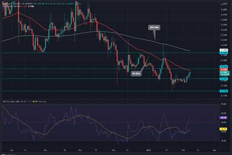 DOGE Price Today: DOGE Bulls Aim $0.2 Mark But First They Need to Break This Key Resistance