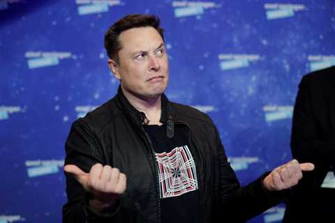 Cryptocurrency investors plead with Elon Musk to ‘stop tweeting’