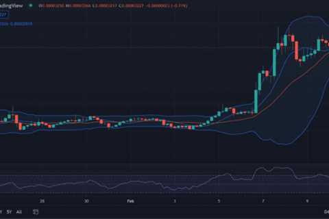 Shiba Inu price analysis: SHIB maintains positive momentum towards $0.00003300 - Shiba Inu Market..