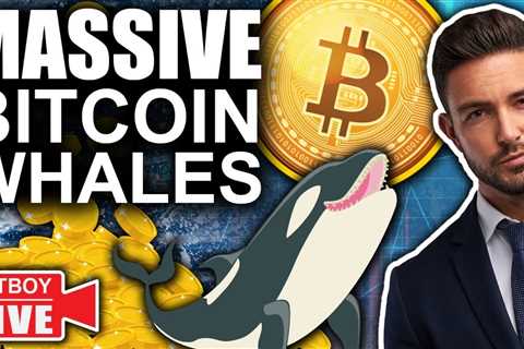 URGENT! Bitcoin PUMPING as INSANE Inflation Report Released (Massive Whale Buys)