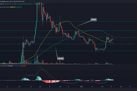 Shiba Inu Price Prediction: Will SHIB Price Break $0.00005 by End Of Feb. 2022? - Shiba Inu Market..