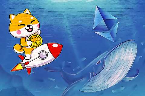 Top 1000 ETH Whales Hold Over $2B Worth of Shiba Inu - Shiba Inu Market News