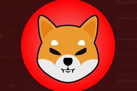 Australian Company LaborX All Set To Add Shiba Inu As Payment Method, Complete Tasks, Earn Shib -..