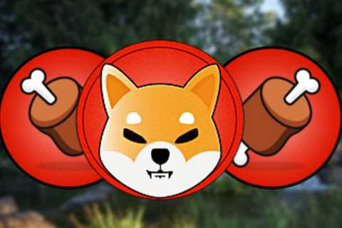 Shiba Inu Doggy DAO Launches In Phase 1 - Shiba Inu Market News