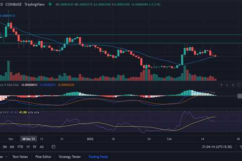 Shiba Inu (SHIB) Price Prediction: SHIB On The Way To Retest January Lows Near $0.000017 - Shiba..