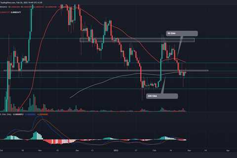 Shiba Inu Price Prediction: What's Next For SHIB Price, $0.000020 Or $0.000035? - Shiba Inu Market..