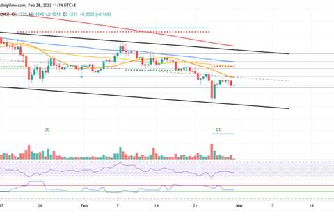 DOGE interest dwindles as buyers unable to prevent 14% decline