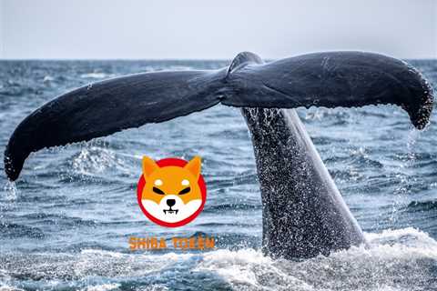 Are Shiba Inu Whales trying to buy the market bottom?