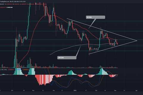 Shiba Inu Price Prediction: Can SHIB Bulls Defend This Key Support?  - Shiba Inu Market News