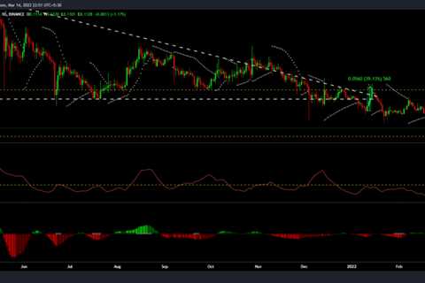 Decoding Dogecoin’s hopium-led 9.5% rally and what it means for the investors