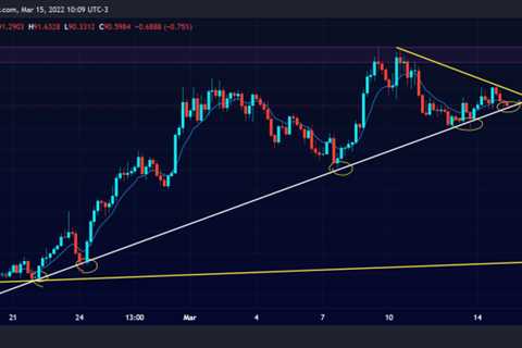 Terra Price Prediction March 2022: Will LUNA Reach $200 in March?