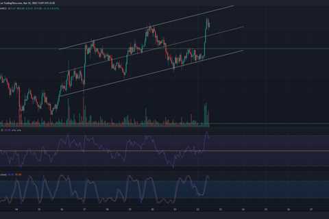 Polkadot, XRP, Zcash, Dogecoin Price Analysis: 22 March