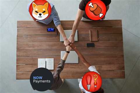 Shiba Inu Partnerships: How is NOWPayments Helping?