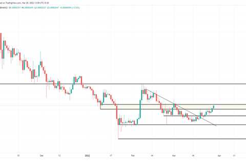 Shiba Inu accumulation at this level could yield maximum returns - Shiba Inu Market News