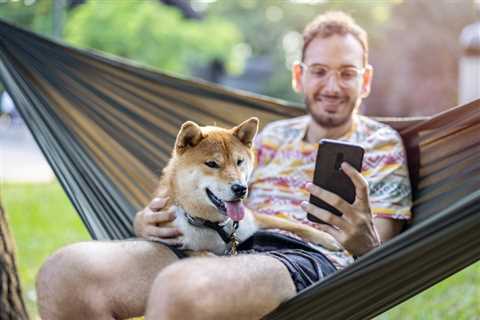 Don’t Look Now, but Shiba Inu Is Skyrocketing Once Again - Shiba Inu Market News