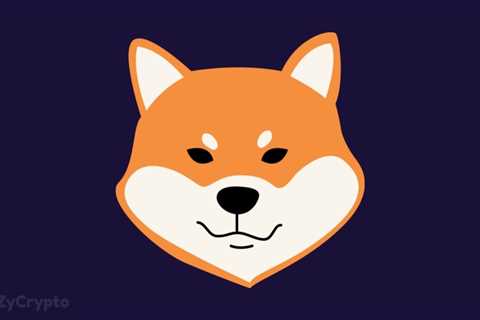 Ether Whales Continue To Accumulate Shiba Inu Despite Losing 60,000 Holders Within Ten Days ⋆..