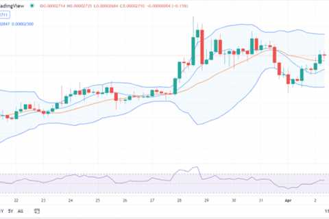 Shiba Inu price analysis: SHIB gains tremendous value in 24 hours - Shiba Inu Market News