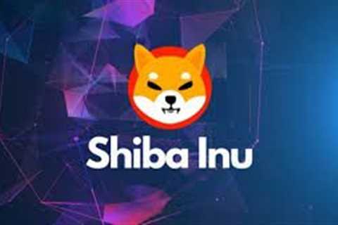 Shiba Inu Announces Metaverse Launch - Shiba Inu Market News