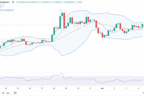 Shiba Inu price analysis: SHIB positive towards $0.00002724 - Shiba Inu Market News