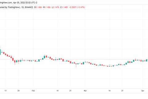 Dogecoin Soared After Elon Musk Bought 9.2% Of Twitter, What’s Next?