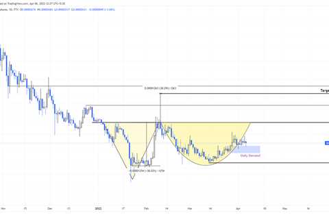 How you could double your capital with Shiba Inu price - Shiba Inu Market News