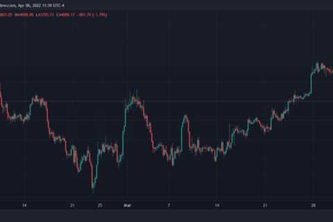 This Bitcoin Indicator Suggests A 65% BTC Price Hike, Will It Deliver?