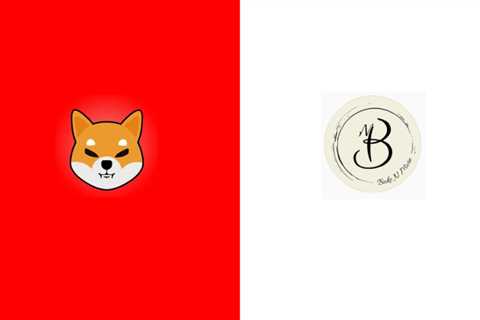 Dubai-Based Cafe, “Bake N More” Now Accepts Shiba Inu As Payment - Shiba Inu Market News