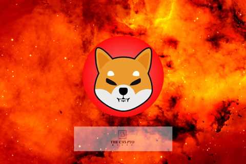 111 Trillion Shiba Inu Token Burns Per Year Achievable in Upcoming Shib Burn Portal - Shiba Inu..