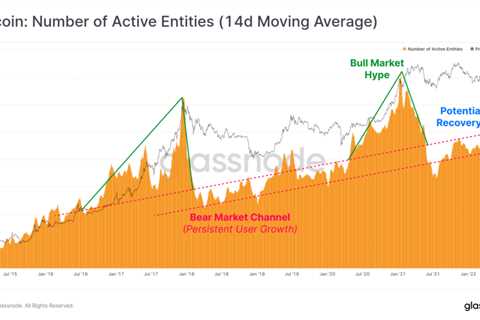 Number Of Active Entities Remain In Bear Market Channel