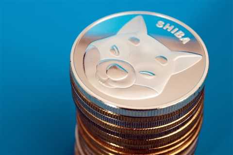 Long-term investors increase SHIB holdings by almost 60% in a month - Shiba Inu Market News