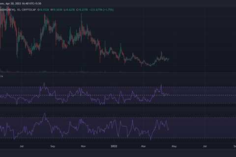 Assessing the odds of DOGE becoming the ‘future currency of the internet’