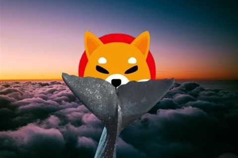 Suspicious Shiba Inu Whale Buys 5.5 Trillion Tokens After Robinhood Listing