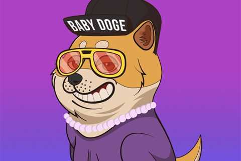 BabyDoge NFT Goes Live; Here’s How to Mint the Digital Artwork