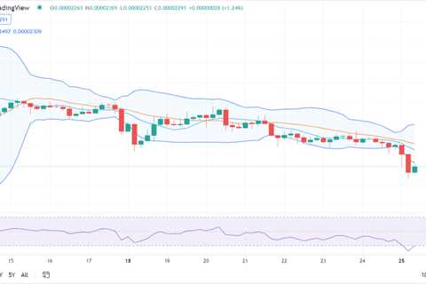 Shiba Inu price analysis: SHIB declines tremendously at $0.00002291 - Shiba Inu Market News