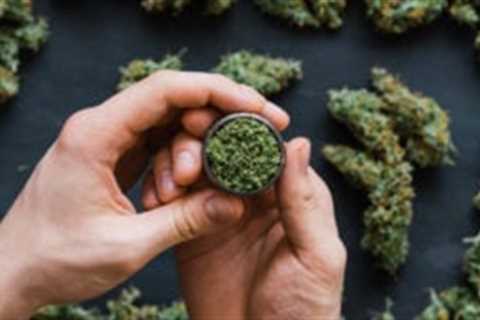 Cannabis Stocks Alert: Why Are SNDL, CURLF, TCNNF, GRWG, CLVR Stocks on Watch? - Shiba Inu Market..