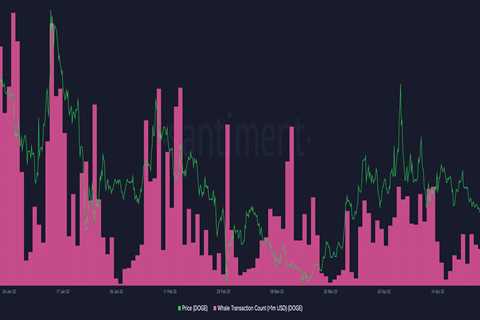 Musk manifests Twitter as Dogecoin, ELON go gaga while SHIB naps - Shiba Inu Market News