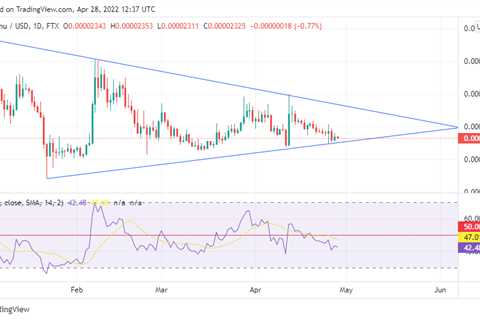 Shiba Inu Price Chart Hints at Incoming Move, Indicators Reveal This - Shiba Inu Market News