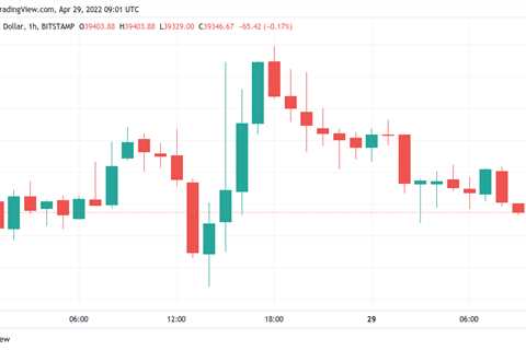 Bitcoin price slow to react as US dollar rally stops at 20-year highs